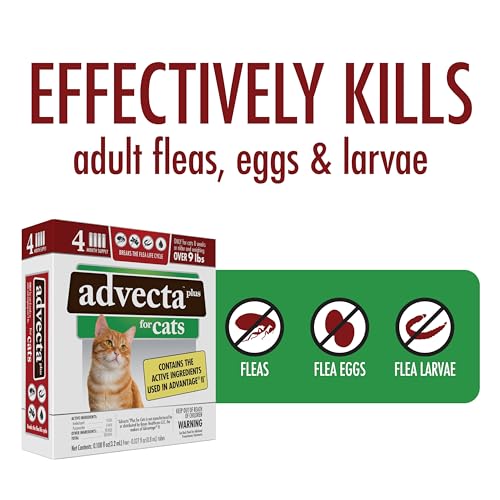 Advecta Plus: Fast-Acting Flea Prevention for Cats