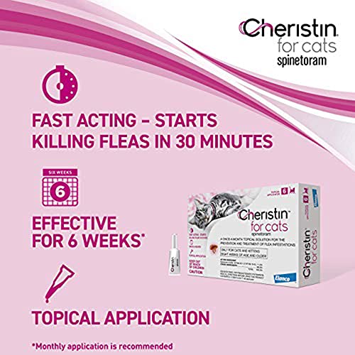 Fast-acting Flea Prevention for Cats - Effective in 30 mins