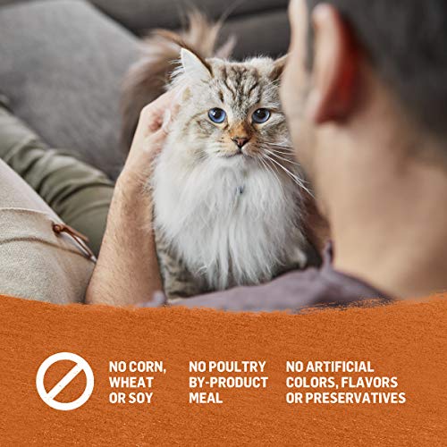 Purina Beyond Variety Pack Pate Poultry 12ct Cats