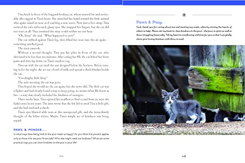 Cat lover's heart: inspiring pawverbs stories