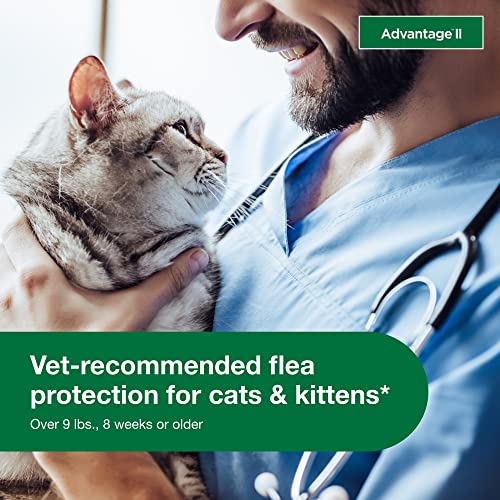 Vet-Recommended Flea Treatment for Large Cats | 2-Month Supply