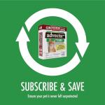 Advecta Plus: Fast-Acting Flea Prevention for Cats