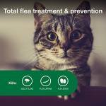 Vet-Recommended Flea Treatment for Small Cats | 2-Month Supply