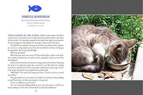 Cat lover's heart: inspiring pawverbs stories