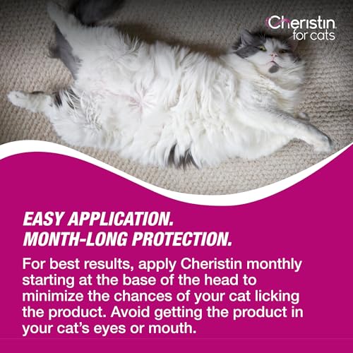Fast-acting Flea Prevention for Cats - Effective in 30 mins