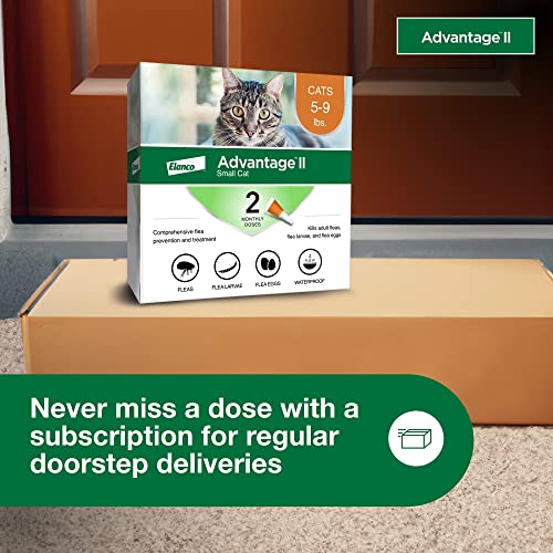 Vet-Recommended Flea Treatment for Small Cats | 2-Month Supply