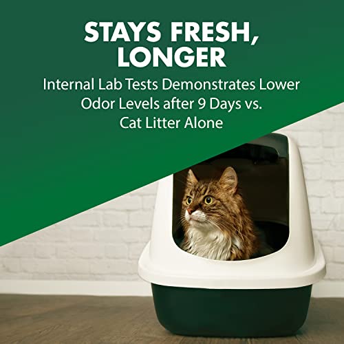 Arm & Hammer 20 Oz Orange Cat Litter Deodorizer