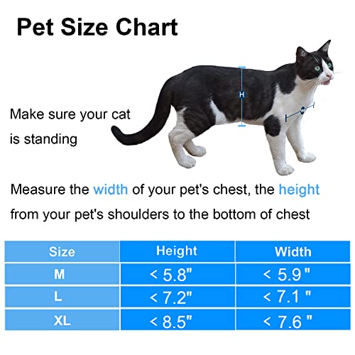 Magnetic Cat Door with 4-Way Locking