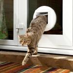 SureFlap Microchip Cat Flap - White, Scans Pet ID