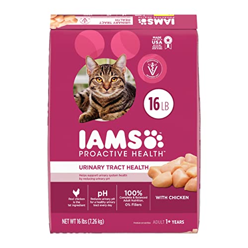 IAMS PROACTIVE HEALTH Chicken Cat Kibble, 16lb
