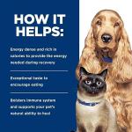 Hill's Prescription Diet Urgent Care Cat Food, 24-Pack