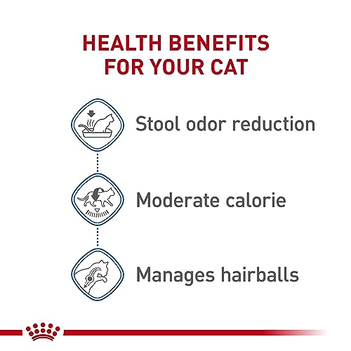 Royal Canin Indoor Adult Cat Food, 7 lb
