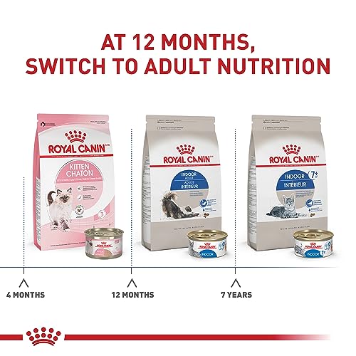 Royal Canin Indoor Adult Cat Food, 7 lb