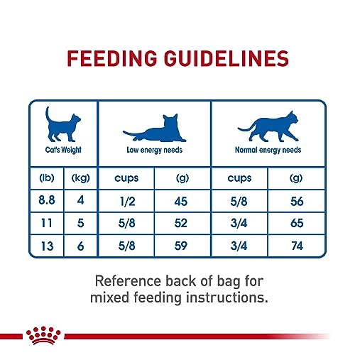 Royal Canin Indoor Adult Cat Food, 7 lb
