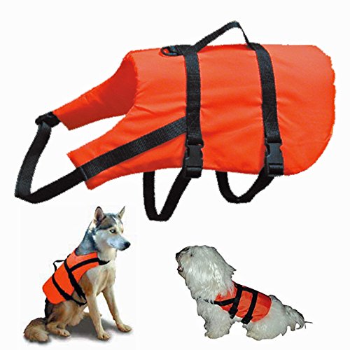 Lalizas Life Jacket for Medium-Sized Cats