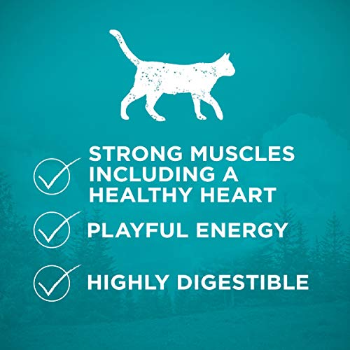 Purina ONE Grain-Free Whitefish Cat Food - 6.3 lb