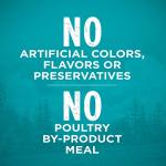 Purina ONE Grain-Free Whitefish Cat Food - 6.3 lb