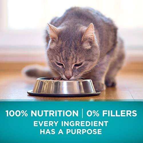 Purina ONE Grain-Free Whitefish Cat Food - 6.3 lb