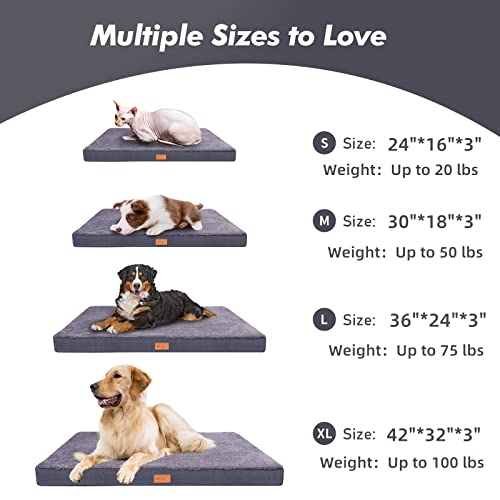Eggshell Memory Orthopedic Foam Cat Bed