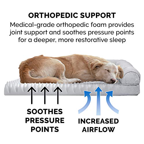 Orthopedic Sofa Bed for Small/Medium Cats - Gray