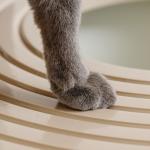 IRIS USA Large Stylish Round Top Entry Cat Litter Box with Scoop