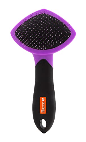 HARTZ Best Small Slicker Brush for Cats, Black/Violet