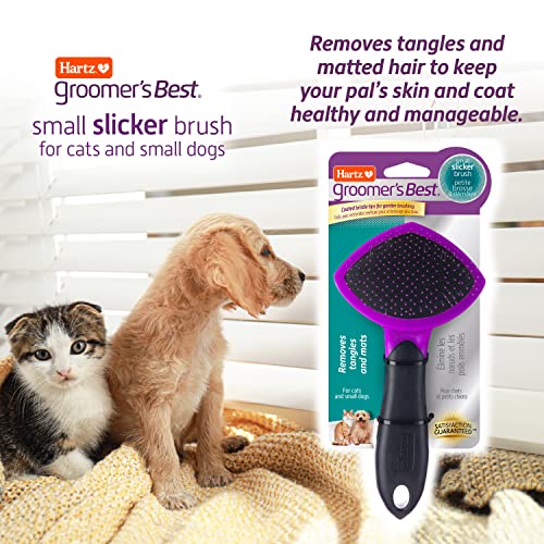 HARTZ Best Small Slicker Brush for Cats, Black/Violet
