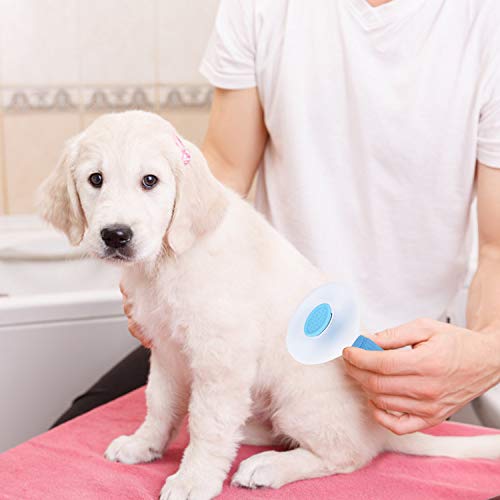 Depets Self Cleaning Slicker Brush, Pet Grooming