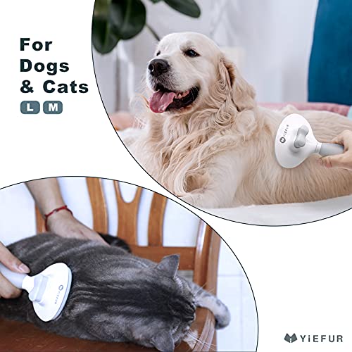 Soft Silicone Cat Hair Brush for Grooming and Shedding