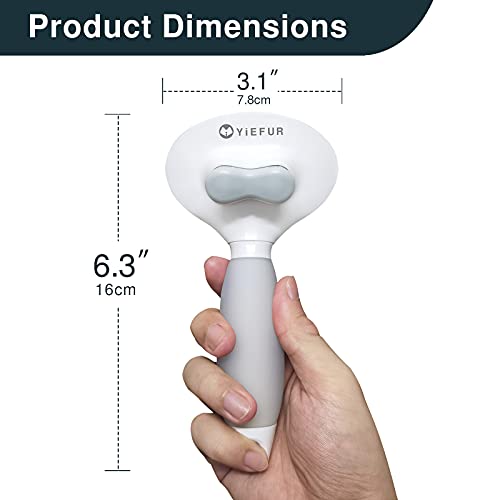 Soft Silicone Cat Hair Brush for Grooming and Shedding