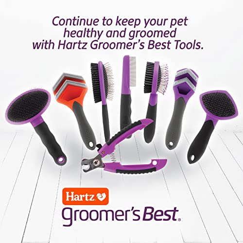 HARTZ Best Small Slicker Brush for Cats, Black/Violet