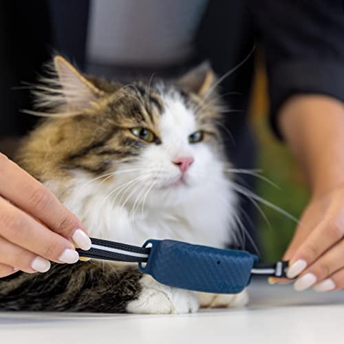 3 Tractive GPS CAT Collar Attachments, Midnight Blue
