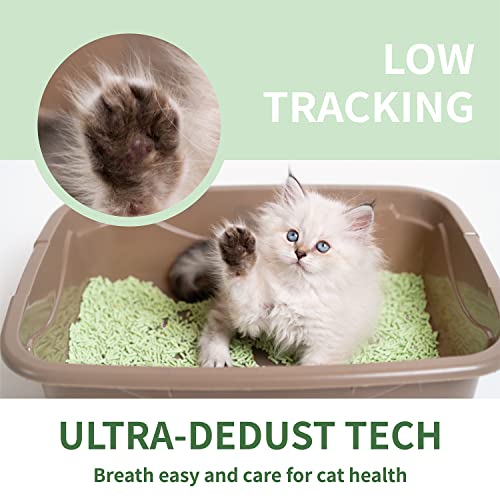 PATLOOL Green Tea Scent Clumping Cat Litter