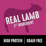 Lamb High Protein Dog Food - 4 lb
