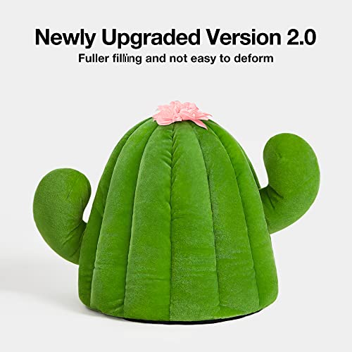 VETRESKA Cute Cactus Cat and Dog Bed