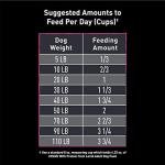 Lamb High Protein Dog Food - 4 lb