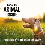 Lamb High Protein Dog Food - 4 lb