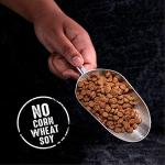 Lamb High Protein Dog Food - 4 lb