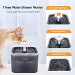 67oz Fantasy Cat Water Fountain with LED Light and Filter