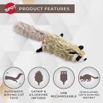 Interactive Realistic Catnip Cat Toy - Racoon (54634)