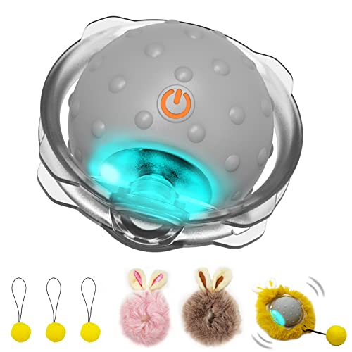 Interactive Cat Toy with Motion Activation and Super Driver