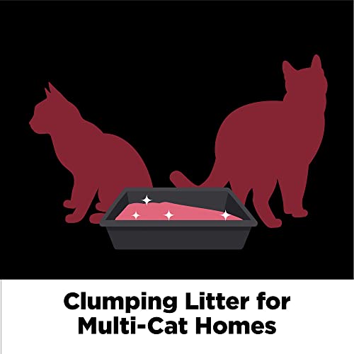 ARM & HAMMER Platinum Clump & Seal Cat Litter