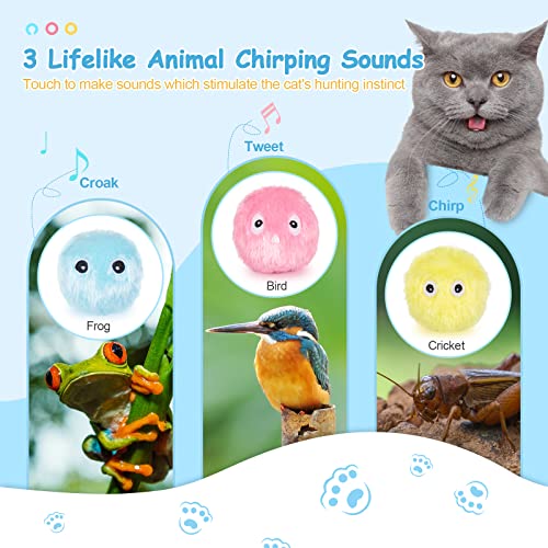 Interactive Plush Cat Toy Set with Chirping Sound