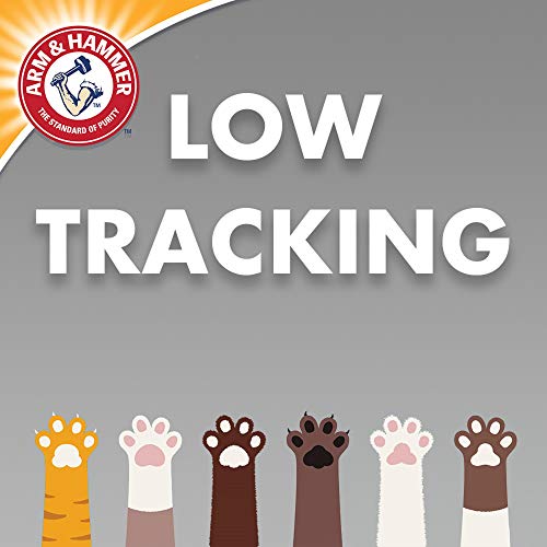 40lb Arm & Hammer Clumping Cat Litter - Multi-Cat