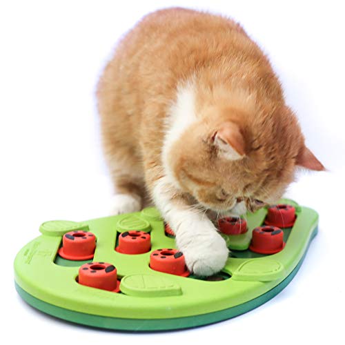Petstages Nina Ottosson Buggin' Out Puzzle & Play - Interactive Cat Treat Puzzle