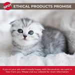 Interactive Realistic Catnip Cat Toy - Racoon (54634)