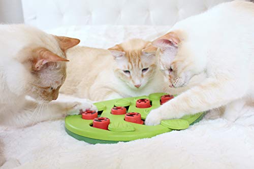 Petstages Nina Ottosson Buggin' Out Puzzle & Play - Interactive Cat Treat Puzzle