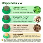 Potaroma Catnip Toys Balls 4 Pcs, Extra Cat Energy Ball, Edible Kitten Silvervine Toys