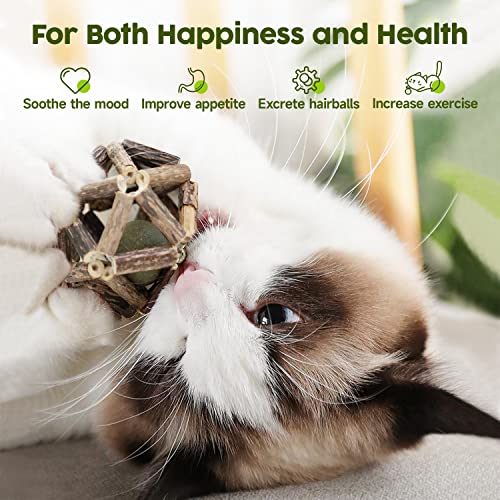 Potaroma Catnip Toys, 3Pcs Cat Toys Natural Silvervine Stick Cage Balls & Bell Ball