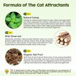 Potaroma Catnip Toys, 3Pcs Cat Toys Natural Silvervine Stick Cage Balls & Bell Ball